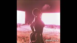 MIRAVI - Белый флаг