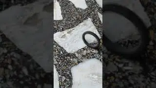 Circle slow-mo