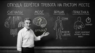 ИНТЕРОЦЕПЦИЯ / Почему тревога на пустом месте