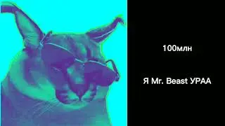 Сколько у тебя Миллионов подписчиков? #шлепа#топ#реки#пельмени#мем#лица