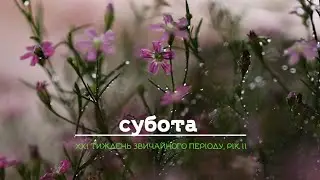 Відгадай…