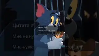 Цитаты 