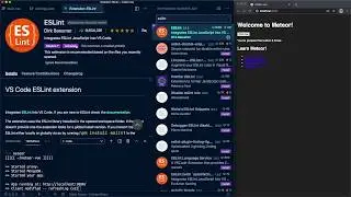 02: [Meteor + Vue] VSCode: initial settings