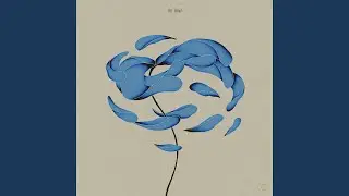 Willows