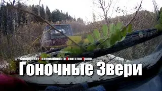Гоночные Звери. Спецпроект Телевизионного Агентства Урала (ТАУ) 2002 год.