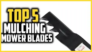Top 5 Best Mulching Mower Blades in 2024