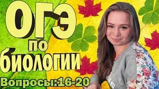 ОГЭ 2016 по биологии (демоверсия). Разбор. Вопросы 16-20.