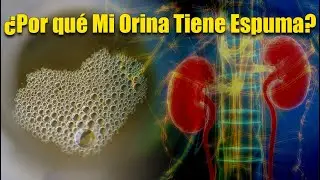🥃¿Por Qué mi Orina Tiene Espuma? | SALUDABLEMENTE TV