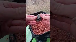Флет Фідер на річкового САЗАНА🔥 