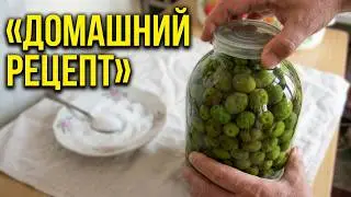 How to pickle olives at home (step-by-step recipe). October 21, 2020, Baku