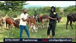 I Live in the UK but I manage my multi-million farm in Kiboga - Grace Kakooza part 2 #extradigest