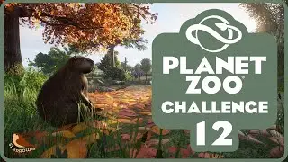 Rewilding Education with Beavers & Raccoons | Whispering Woods | Planet Zoo | #12
