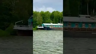 #хаусботы