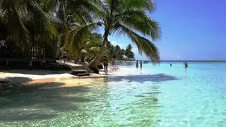 Beach on the Caribbean Sea. Dominican Republic