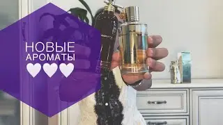 Montale-Aoud forest🌳🌳🌳Mancera-Wild fruit🍍🥭🍒🍓🍑🥑🥝🥥🫐💦🌊💕💕🍒🍒🍒💜💜💜топовые ароматы🫐🍍