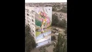 В Элисте появился стрит-арт объект от Всемирного фонда дикой природы (WWF)