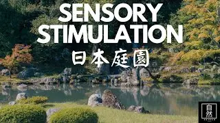 Sensory Symphony: The Therapeutic Wonders of Japanese Garden Experiences