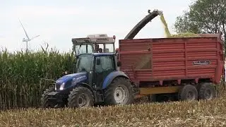 Koszenie kukurydzy 2016