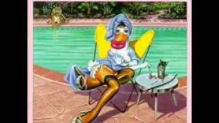 Little Feat ~ Feel the Groove