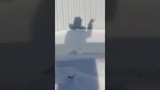 гуляю