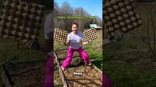 Вот как я сею морковку🥕🥕 