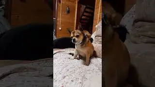 история о том как я потерял палец