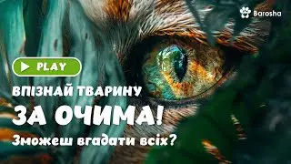 Впізнай Тварину за очима 🦉 Зможеш вгадати всіх 👀 Вікторина