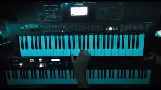 Rammstein - Ich Tu Dir Weh Keyboard Cover