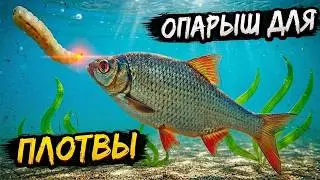 Как правильно насадить опарыша для ловли капризной плотвы.