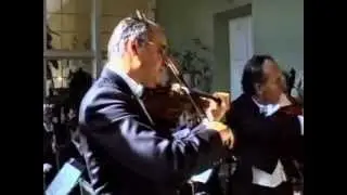 W.A.Mozart - Sinfonia concertante - 2nd & 3rd mov. -  A.Kostecki (vl)  &  S.Kamasa (vla)