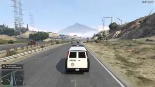 Grand Theft Auto V Fun (PS4)