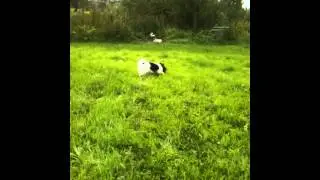 IMG 0881