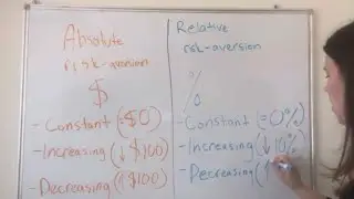 Absolute Risk-Aversion vs Relative Risk Aversion and 3 Subcategories