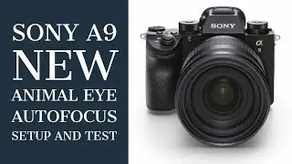 Sony A9 Animal Eye AF