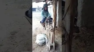 РУЗИМИРОД ВА ДАСВИДАНИЯ