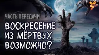 Воскресение из мёртвых правда или вымысел?