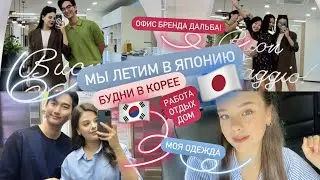 МЫ ЛЕТИМ В ЯПОНИЮ 🇯🇵 ОФИС БРЕНДА d'Alba ✨ НАШИ БУДНИ В КОРЕЕ 🇰🇷 РАБОТА/ ОТДЫХ/ ДОМ 🏠 МОЯ ОДЕЖДА