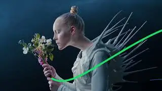 Un ejemplo de proyecto del taller de animación grafica.