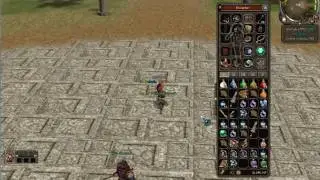 pet canlandırma