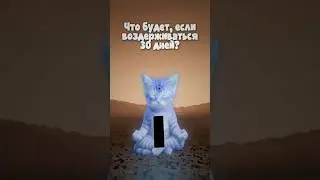 Что будет, если воздерживаться 30 дней? #shorts #здоровье