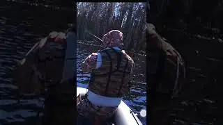 поклевка форели в прямом эфире #trout #fishing #спиннинг #рыбалка #рыба #спиннинговаяловля