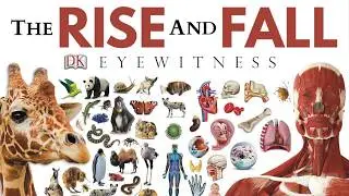 What Ever Happened to Eyewitness?