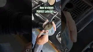 Steam PERFECT Milk For Latte Art ☕️ 