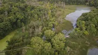 Free Swamp Video - Royal Botanical Gardens from Drone | 4k | Royalty Free Video | Top View