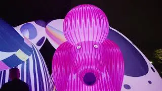 The Lost Dog's Disco