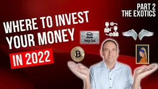 All The Asset Classes To Invest Into in 2022 | The Exotics