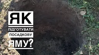 СТОП! ДОСИТЬ ВЖЕ НЕ ПРАВИЛЬНО САДЖАТИ ДЕРЕВА. ЯК ЯКІСНО ПІДГОТУВАТИ ПОСАДКОВУ ЯМУ