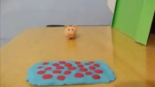 sr porco