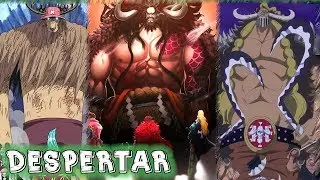 91- O DESPERTAR DOS ZOAN | Teoria O DESPERTAR DE TODAS AS AKUMA NO MI