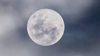 3 часа звуков ночного леса. Звуки цикад для отдыха и сна. Белый шум.